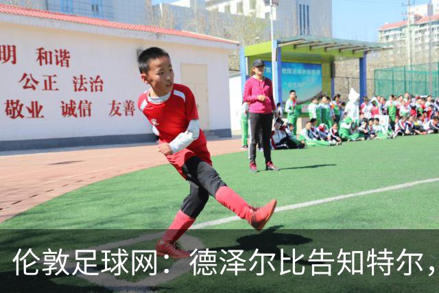 伦敦足球网：德泽尔比告知特尔，他下赛季将会得到重用