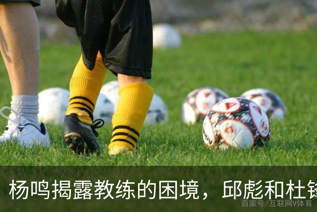 杨鸣揭露教练的困境，邱彪和杜锋的小团队行为是否成为自保策略？